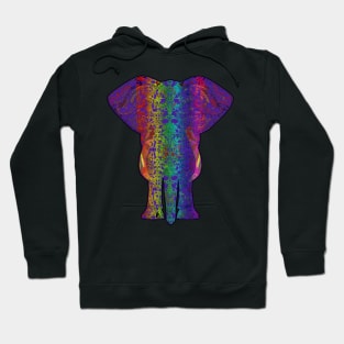 Rainbow Purple Elephant on Black V.2 Hoodie